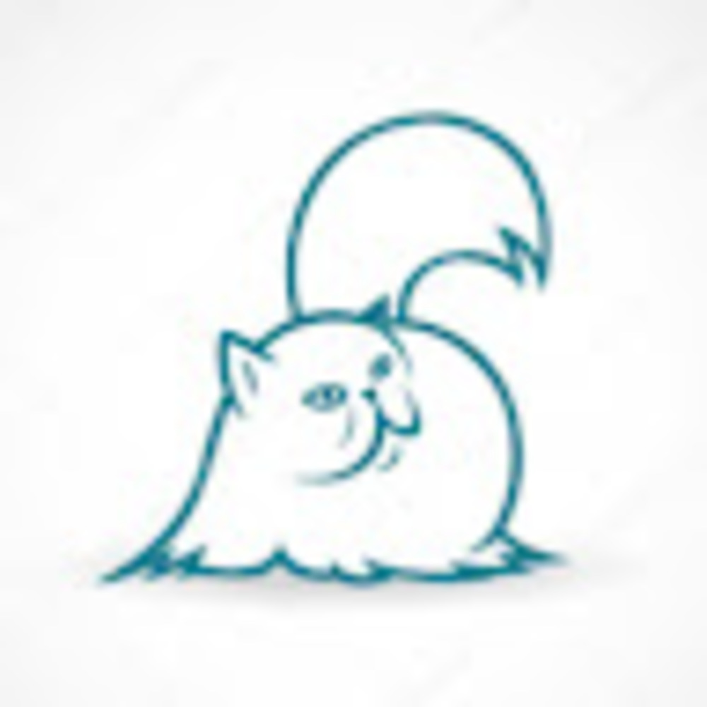 Meet your Posher, Ziqi